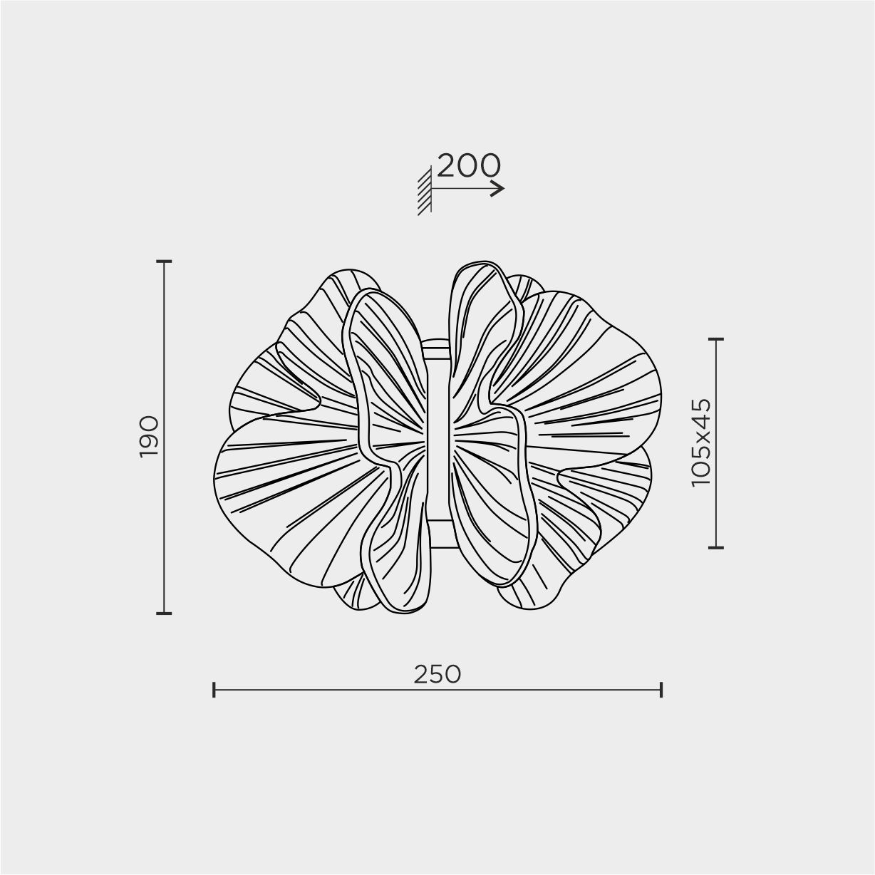 ML.6222.235 CP.jpg