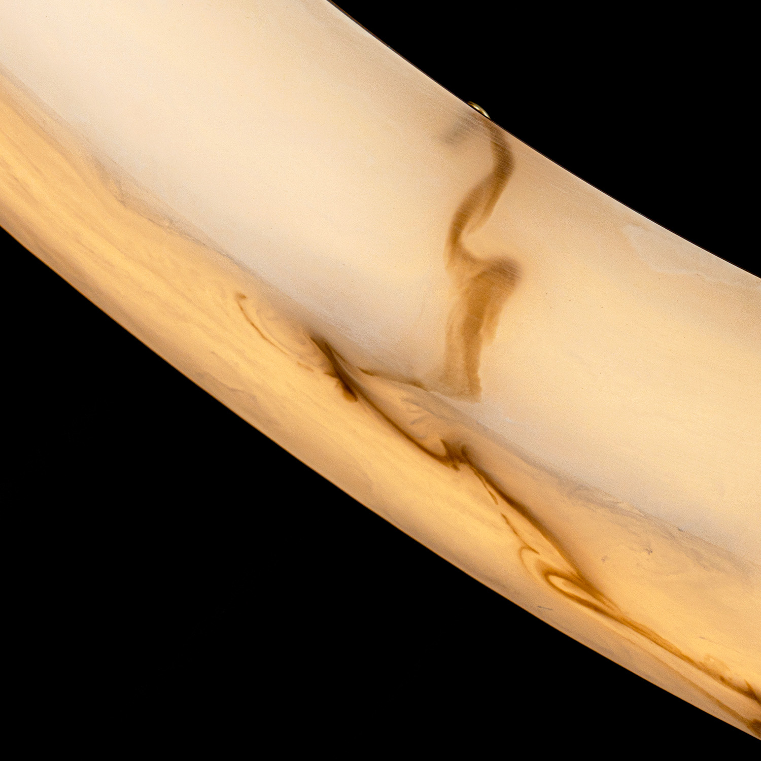 MS.8484.800 BS (9).jpg