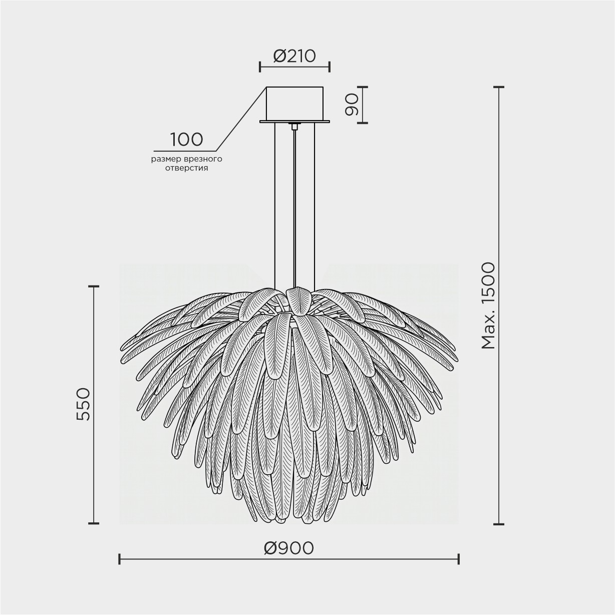ML.2420.900 CP.jpg