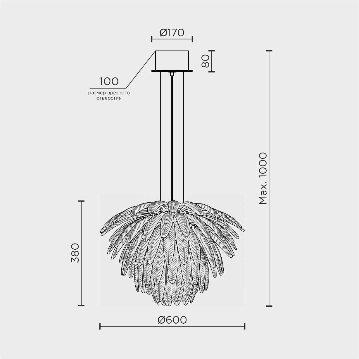 ML.2420.600 CP.jpg