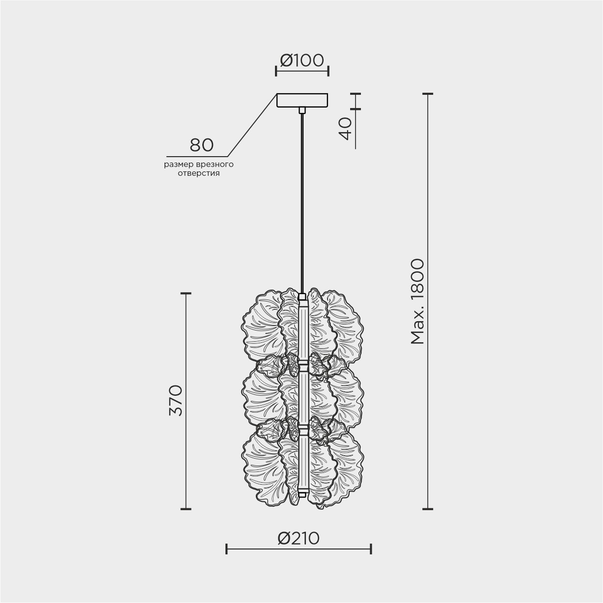 MDL.65223.3HC.jpg