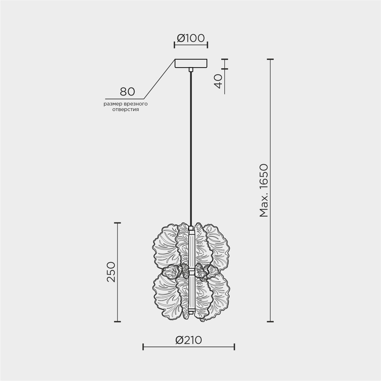 MDL.65223.2HC.jpg