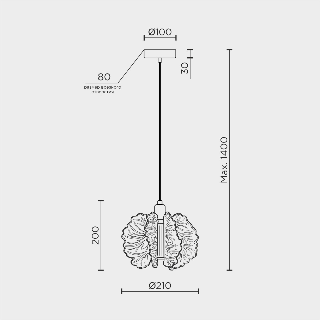 MDL.65223.1HC.jpg